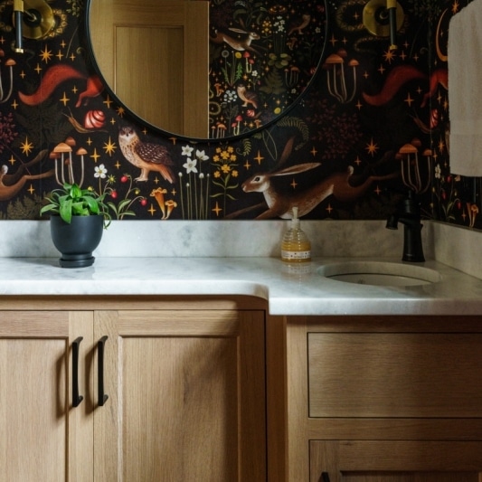 Poweder Bathroom remodel