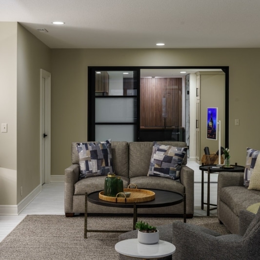 modern basement with wellnes room