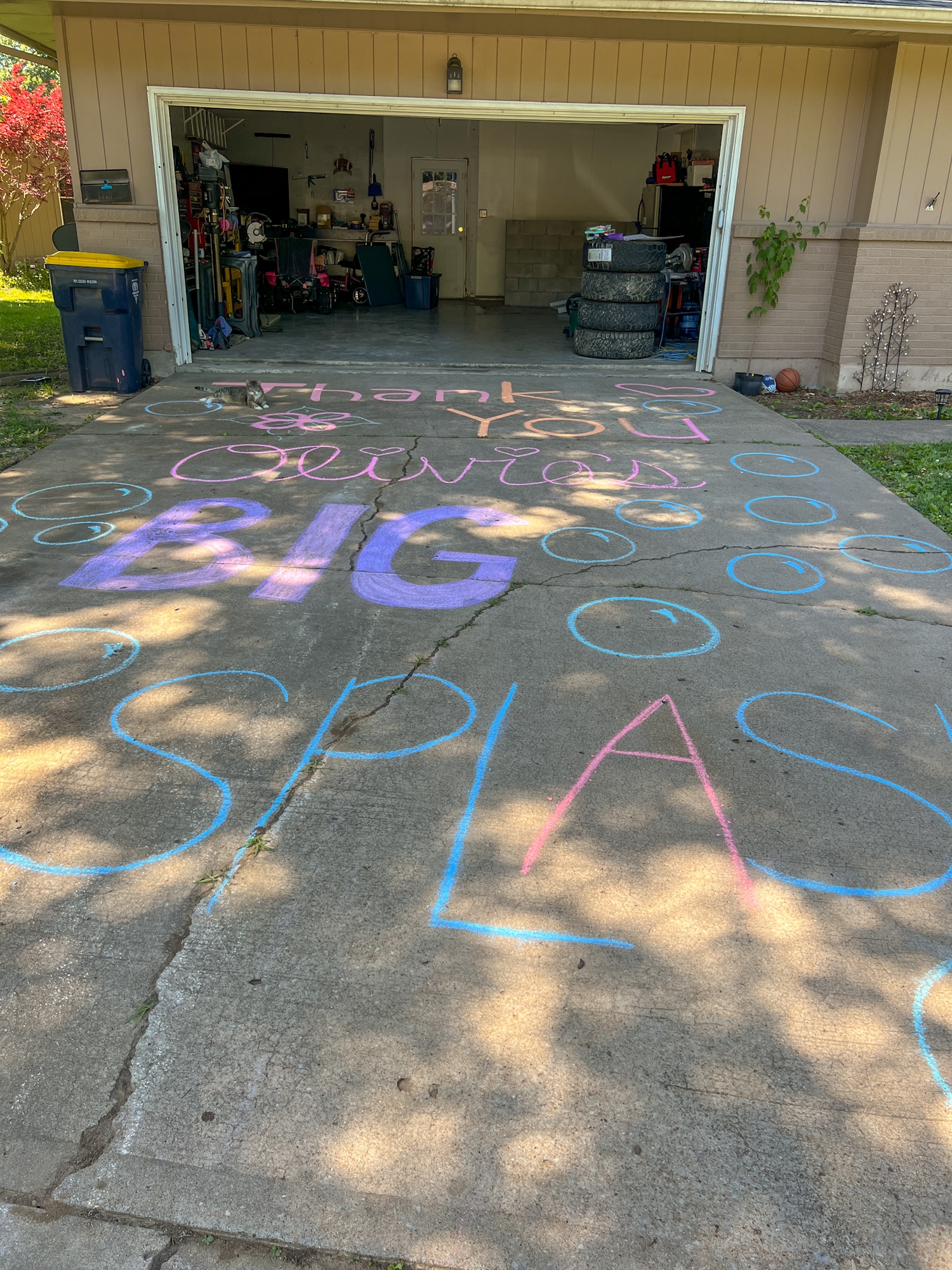 DJI_20240607_105923_913_edited Driveway art