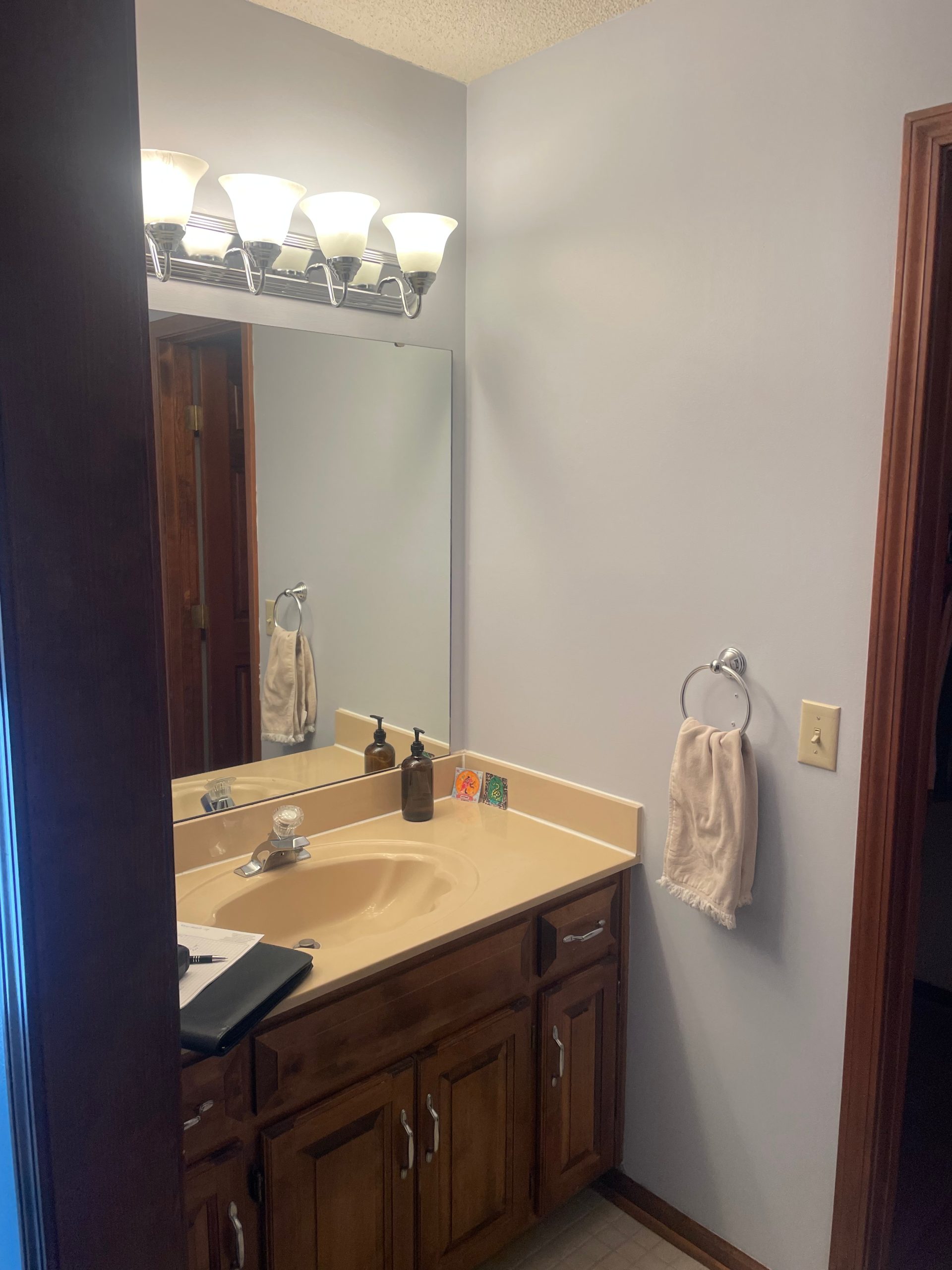 office side of jack and jill bathroom before the remodel, dated dark and crammed