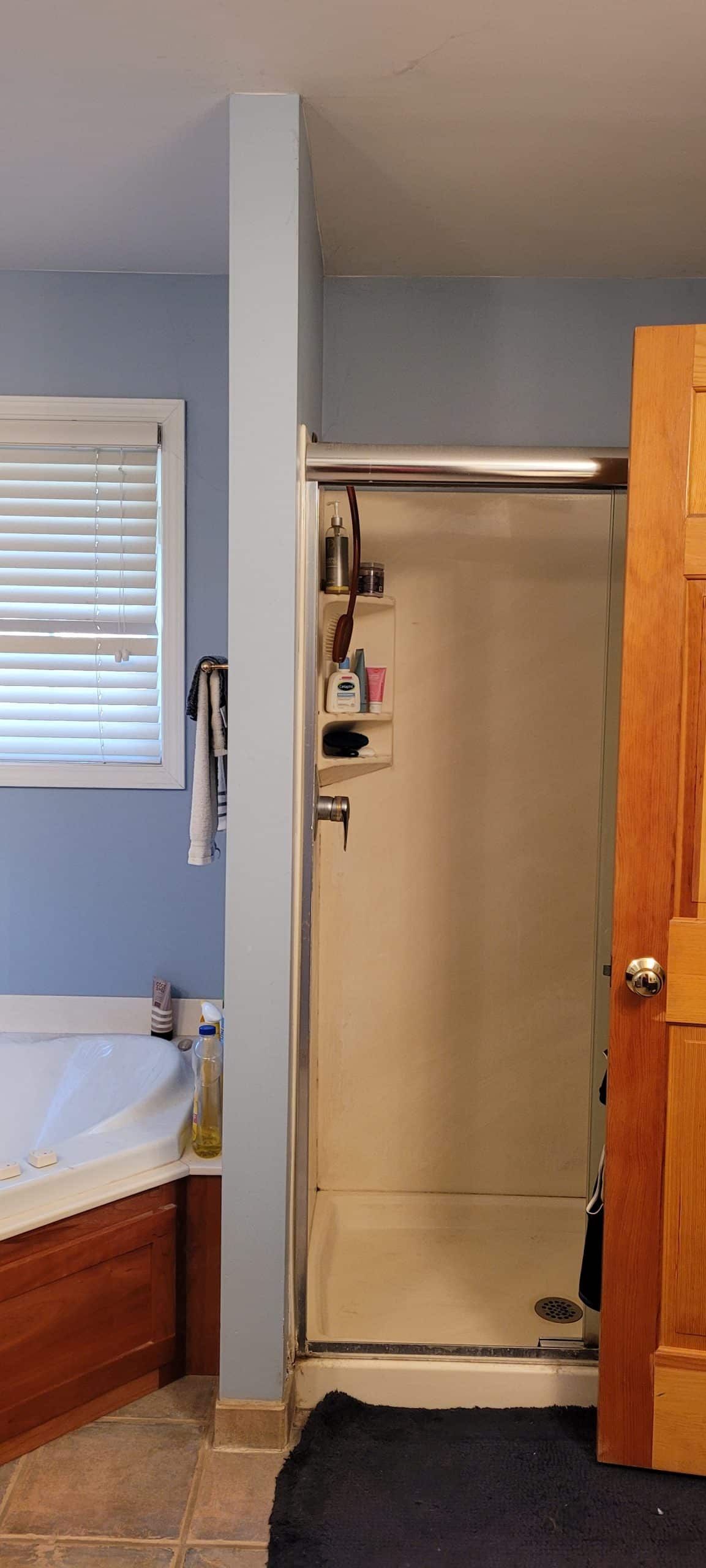 shower and tub in dated bathroom