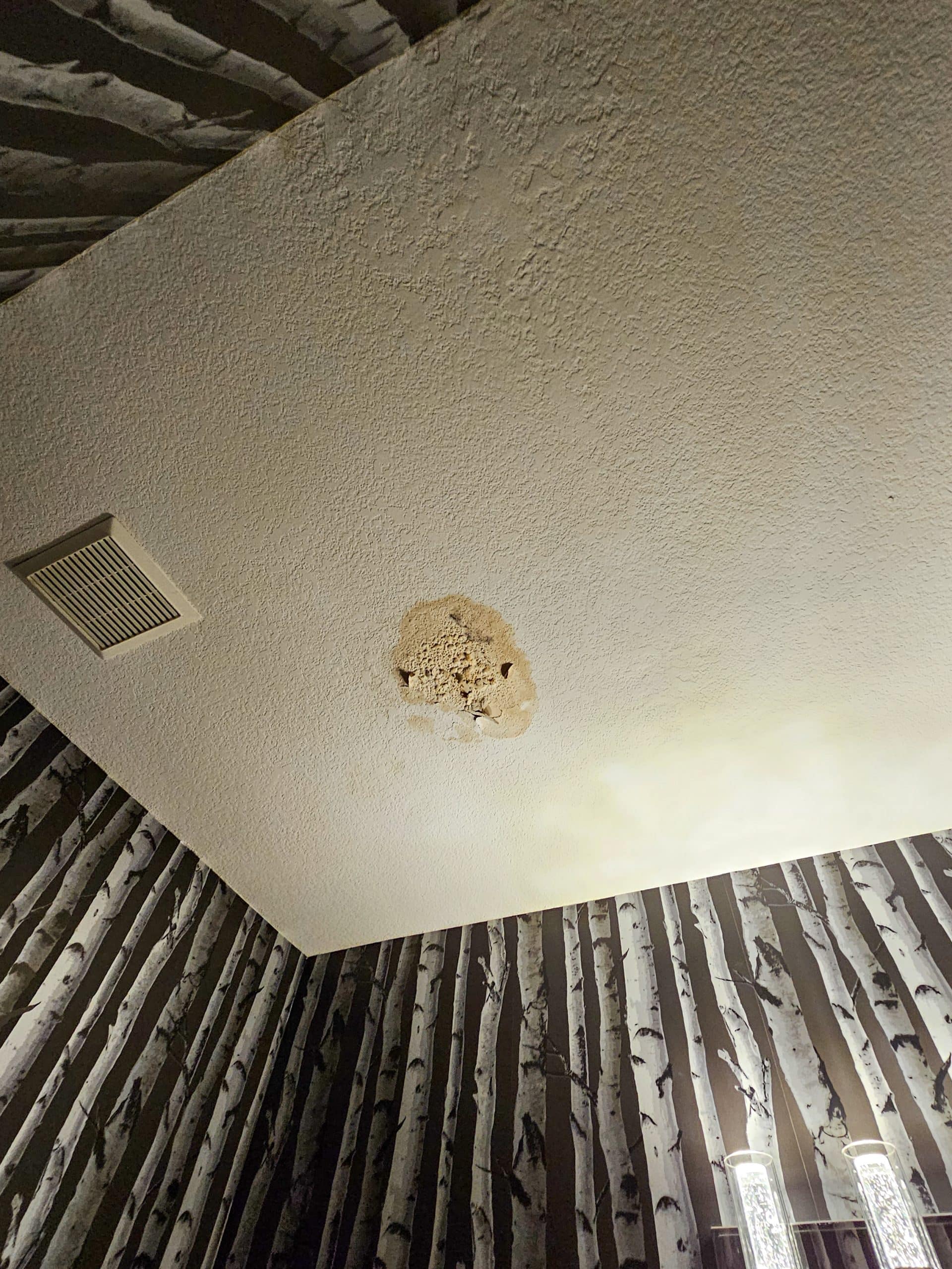 Water damage in ceiling