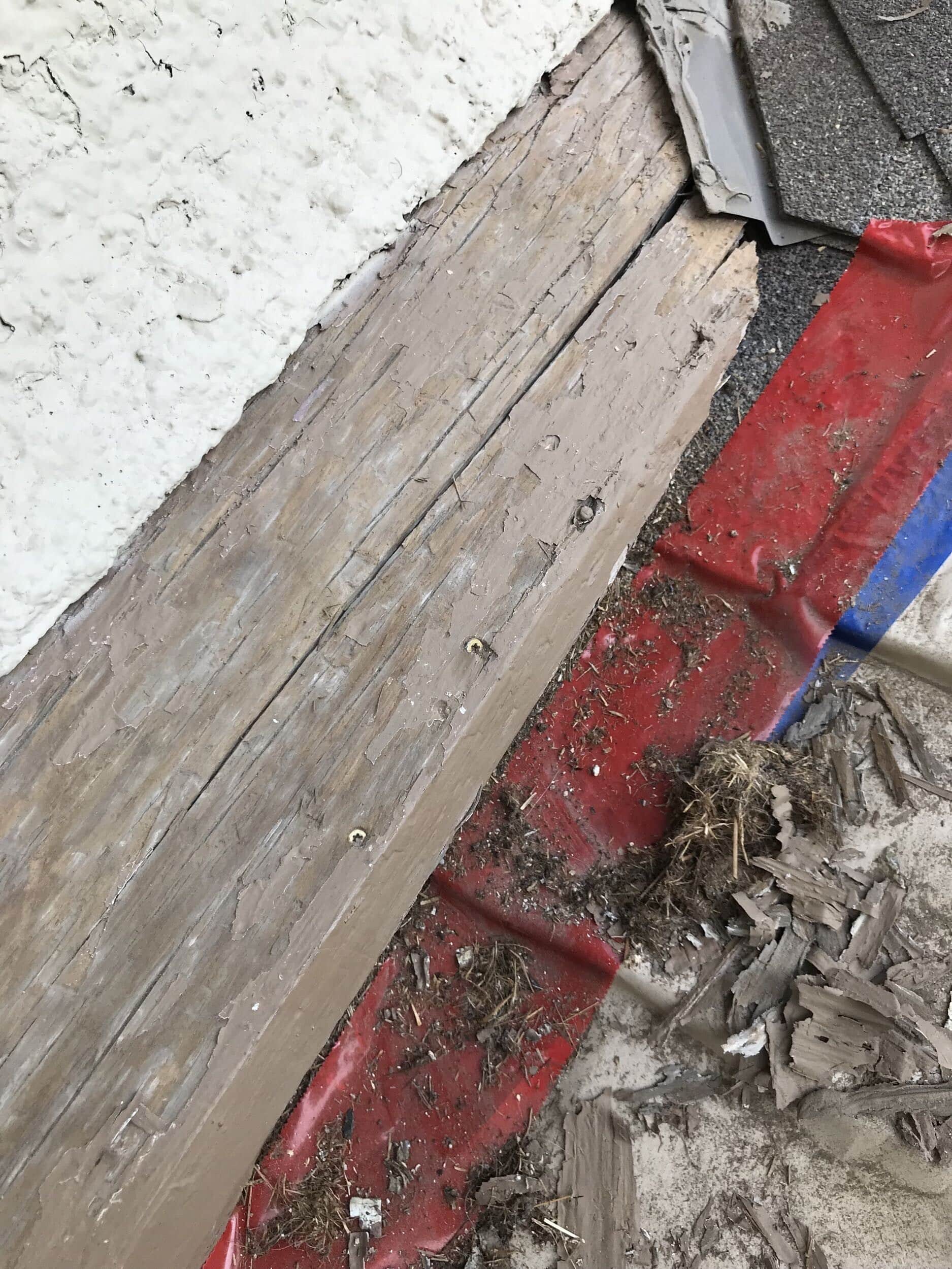 scraped paint and old wood to prep for sealing and paint in wood rot repair