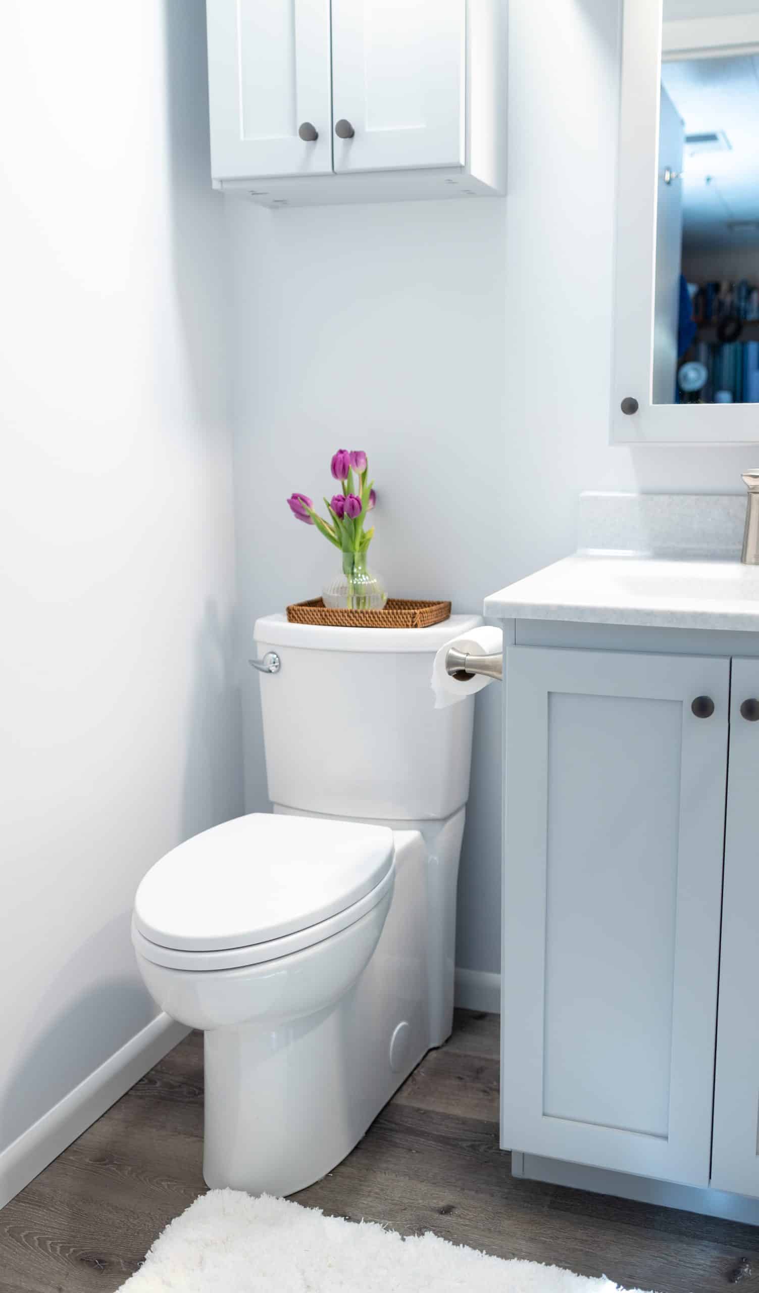 bright modern handyman bathroom refresh