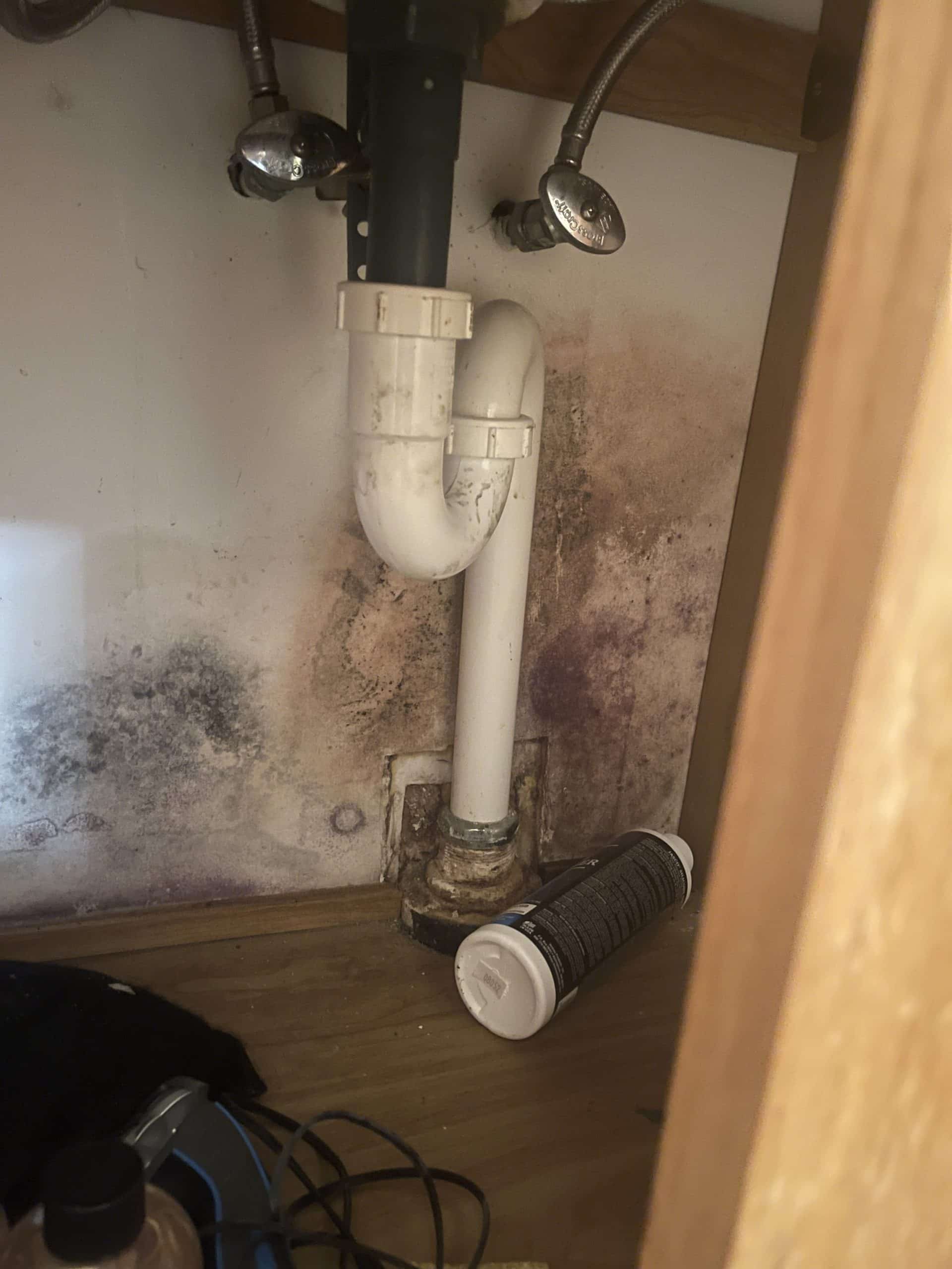 mold under bathroom vanity cabinet before the remodel